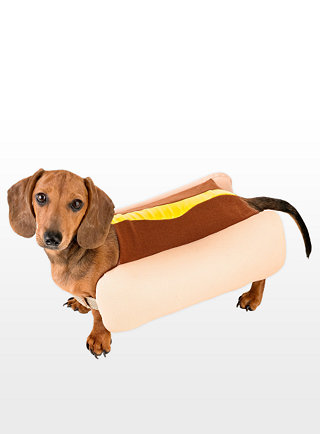 106422 hot dog hundekostuem dog costume