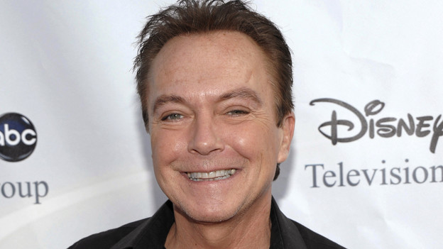 david cassidy s8