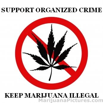 SUPPORT ORGANIZED CRIME KEEP MARI ILLEGA