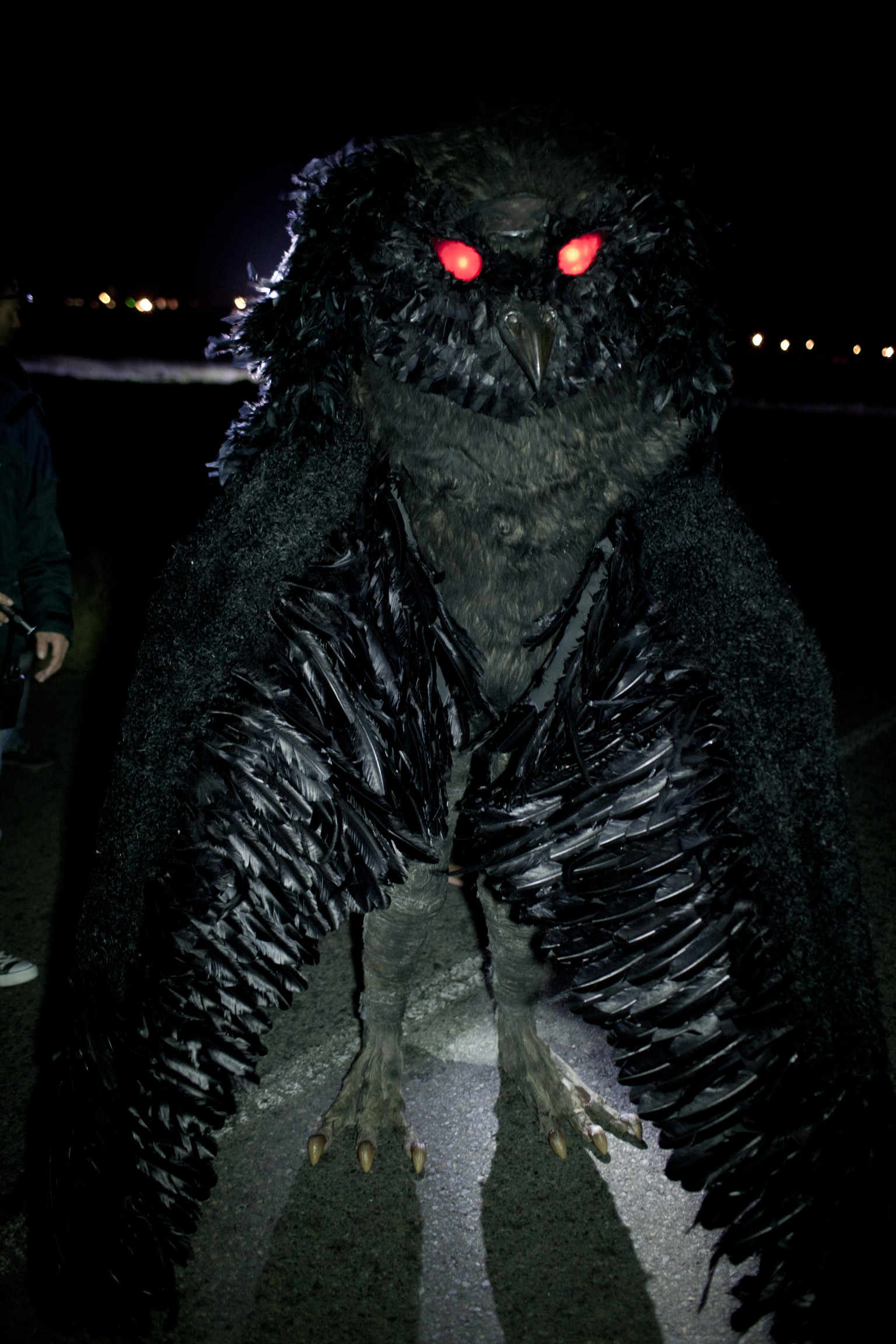 Bilder-Thread o-MOTHMAN-facebook