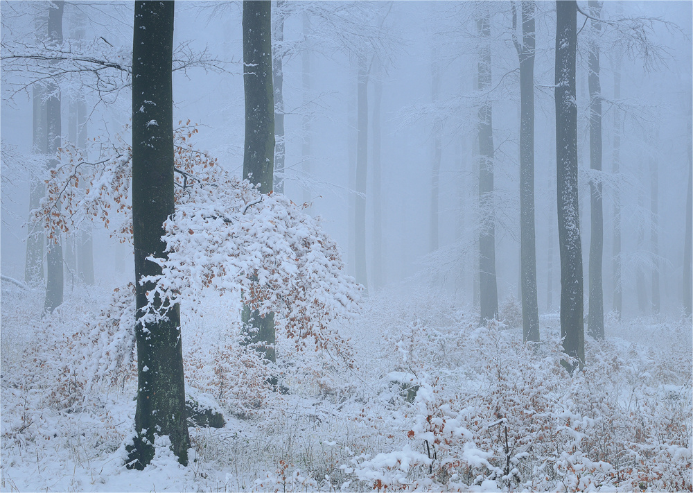 Bilder-Thread und-ploetzlich-war-winter-77cd019e-0eb6-