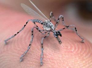 Insekten-Drohne