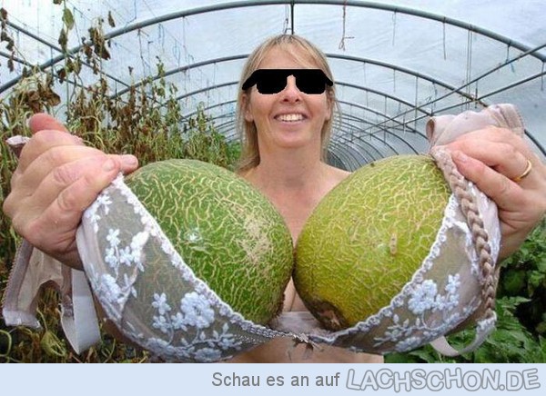 84079 mememelonen