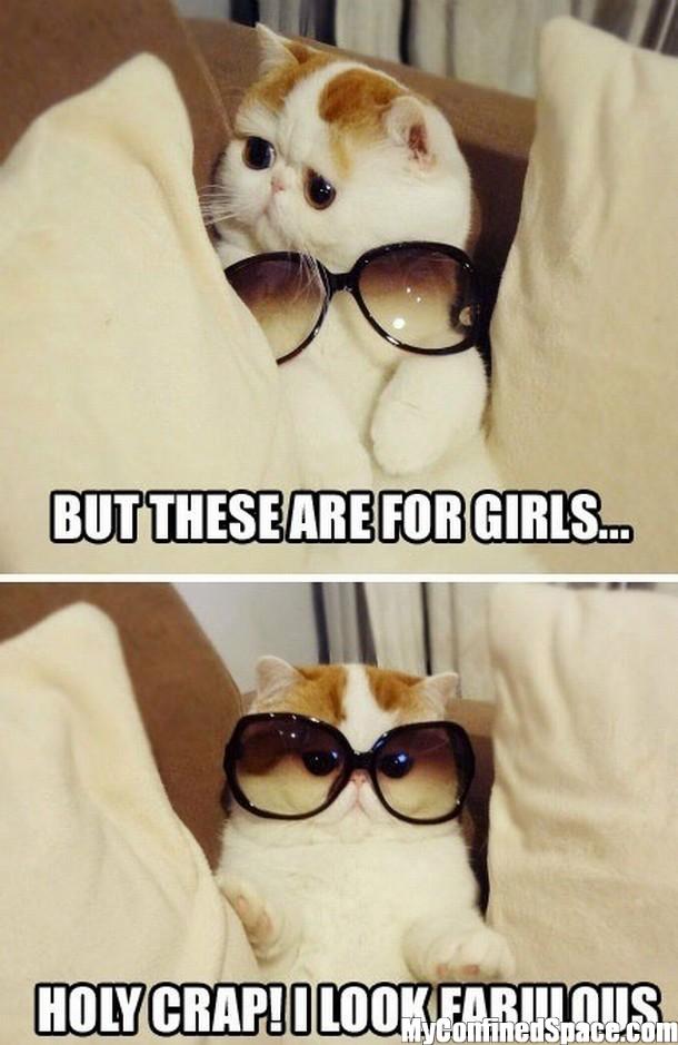 Bilder-Thread but-these-are-for-girls