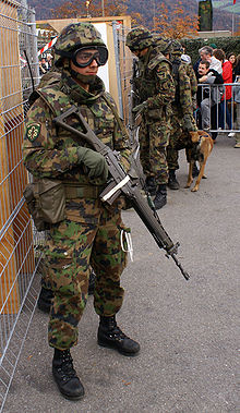 220px-Schweizer Armee FC3BCs Gr 2