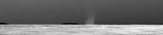 dust devil mars