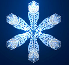 snowflake lg