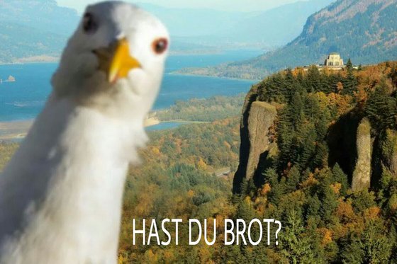 hast-du-brot