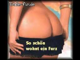 Bilder-Thread 350894 furz1