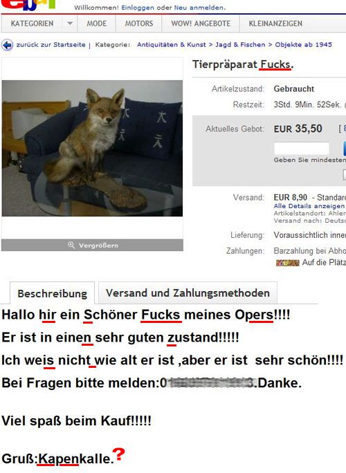 Ebay-Fuchs-Schreibfehler