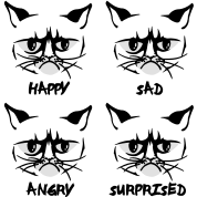 grumpy-cat-emotions