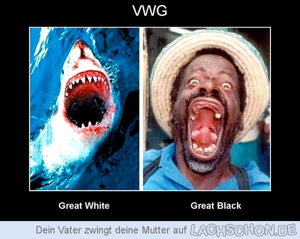83511 vwg black vs white