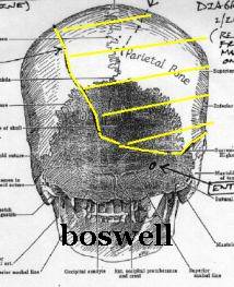 Boswell