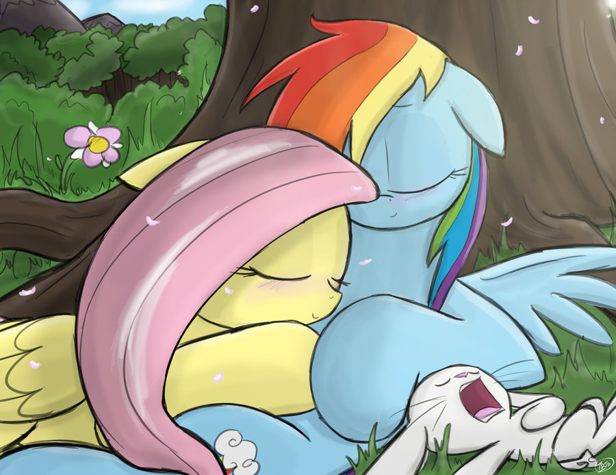 flutterdash31gdxu62was