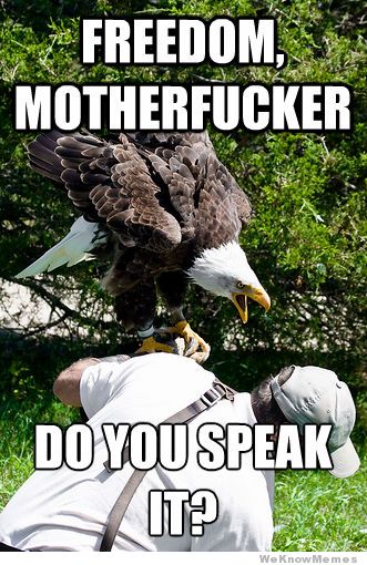 Bilder-Thread samuel-l-jackson-eagle