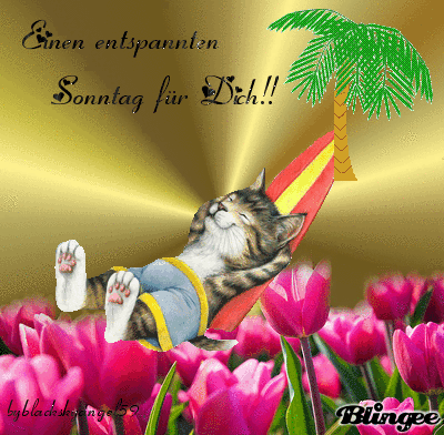 runkgmt8vx3