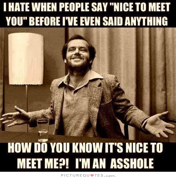 i hate it when people say nice to meet y