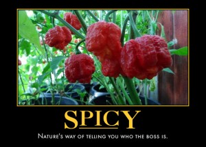 Spicy-Motivation-300x215