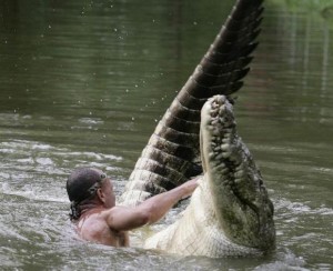Bilder-Thread croc1-300x244