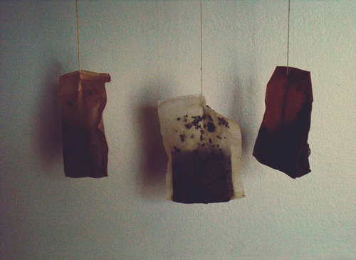 Bilder-Thread tumblr mtuy8h7Heo1qz4d4bo1 500