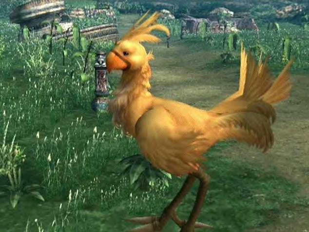 chocobo