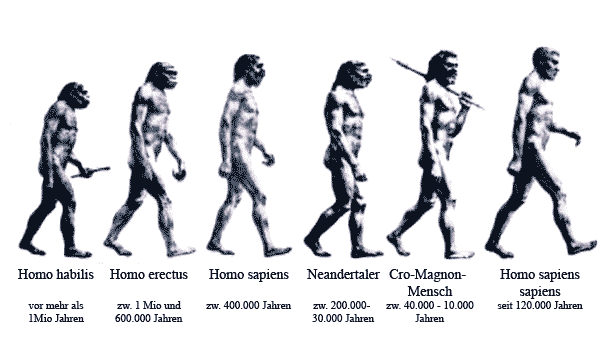 Evolution der Menschheit