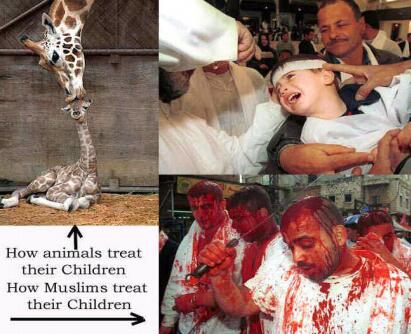 giraffe vs muslims