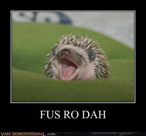 demotivational-posters-fus-ro-dah