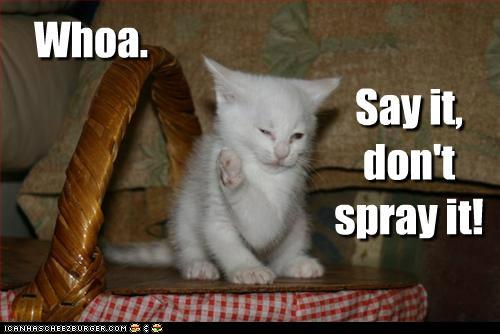 Bilder-Thread t8PvjTh funny-pictures-got-any-napkins-in-this-b