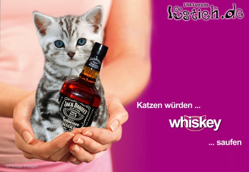 Mpr8Hn katzen-wuerden-whiskey-saufen
