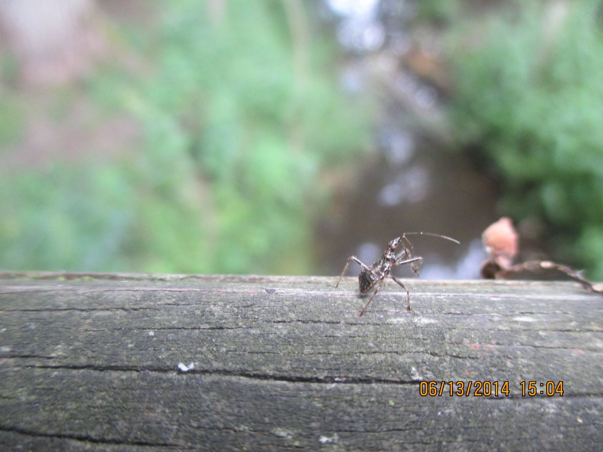 Bilder-Thread 10295015 764262433594558 675514220017412
