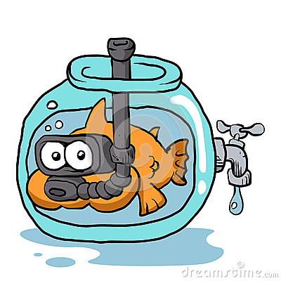 fische-mit-schnorchel-im-aquarium-719251