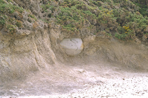 Moeraki-4