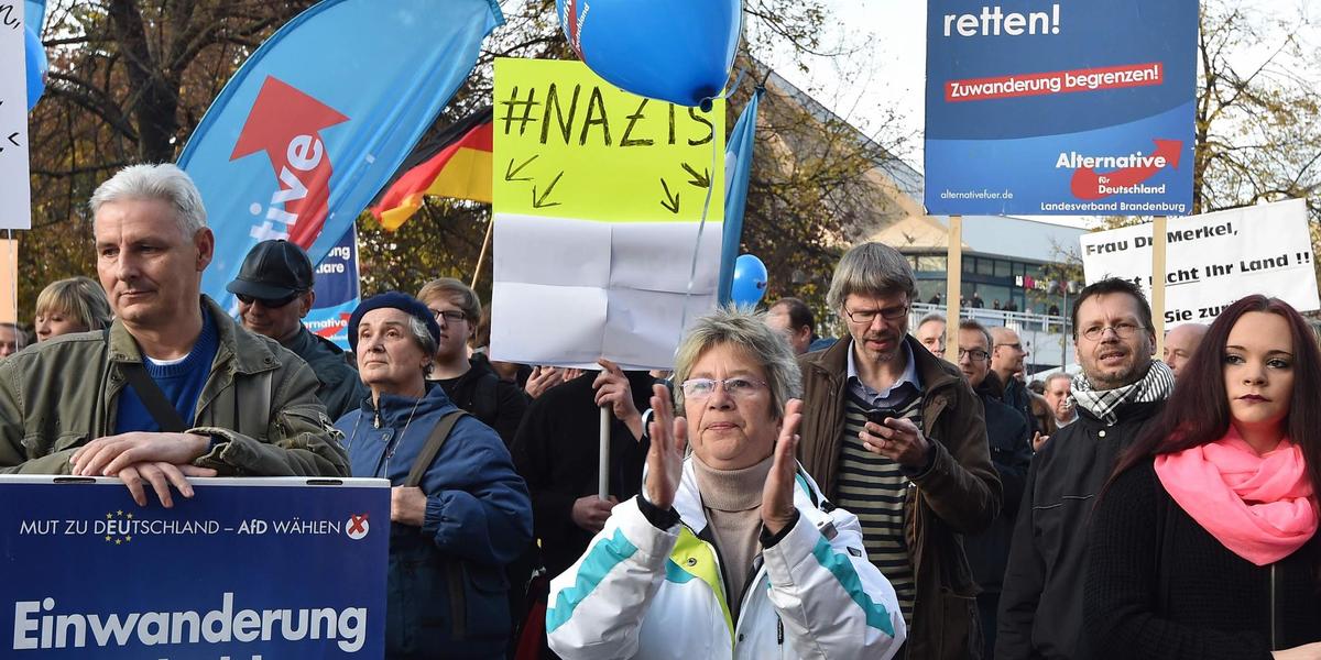 nazis-afd-dpa-Bernd-Settnik