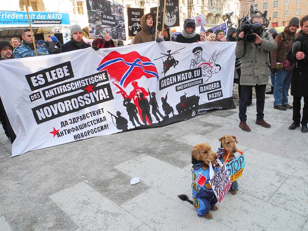 Novorossiya Dogs