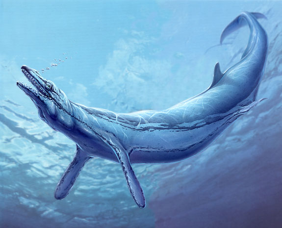 Basilosaurus