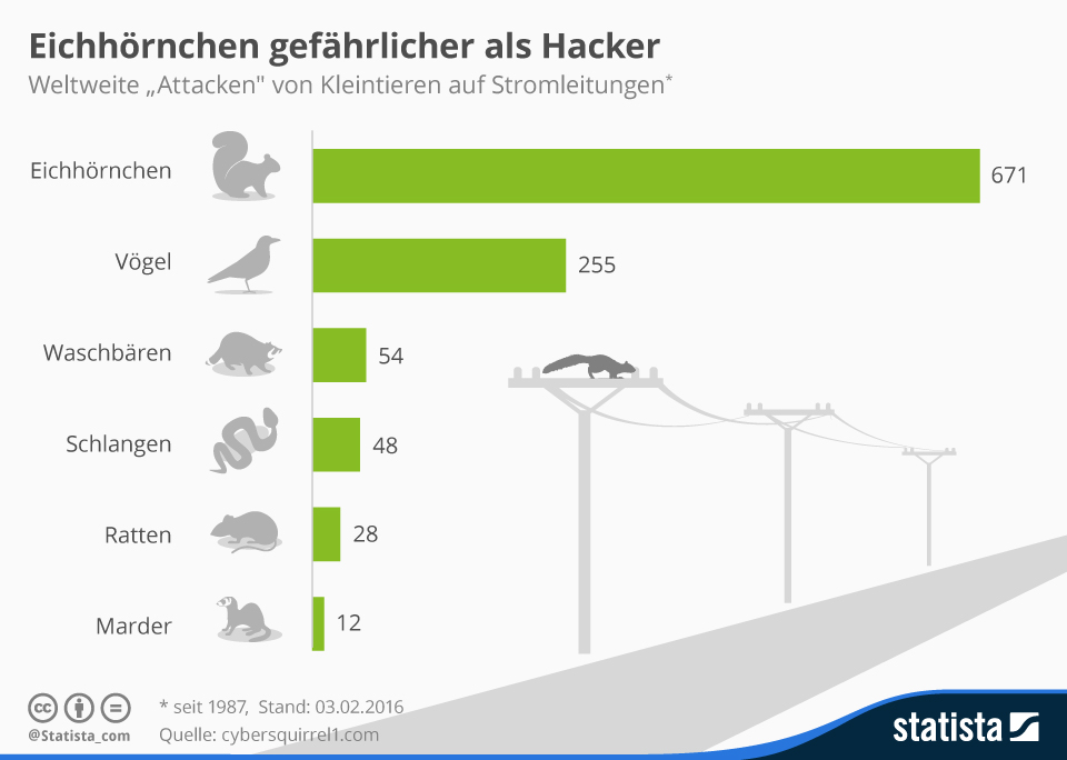 infografik 4236 attacken von kleintieren