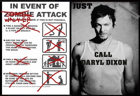 Walking Dead Daryl Dixon Norman Reedus.j