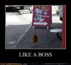 Bilder-Thread f249f6 like-a-boss-funny-picture-300x276