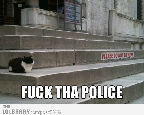 Bilder-Thread cat-says-fuck-the-police-5349