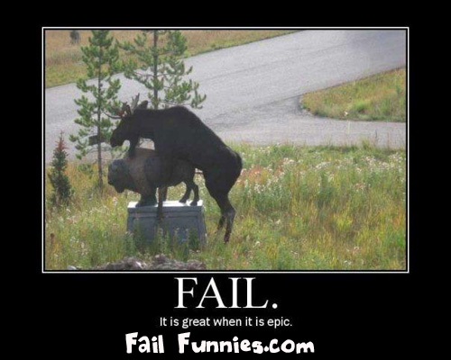 buffalo-moose-fail