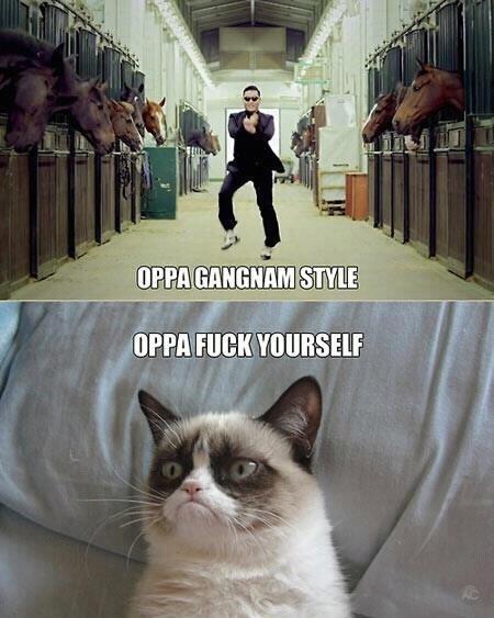 oppa-gangam-style-oppa-fuck-yourself-gru