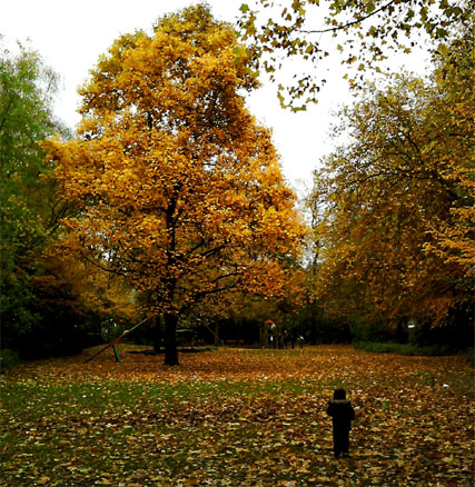 herbst gold park