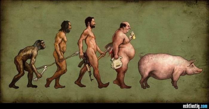 die-evolution-des-mannes-zum-schwein