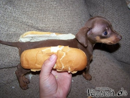 Bilder-Thread 17443-suesser-hot-dog