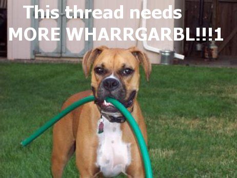 Bilder-Thread thread-need-more