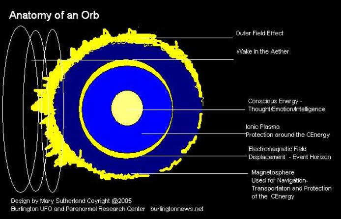 orbanatomy-694x446