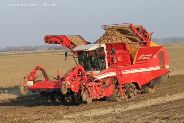 459593-tectron-grimme