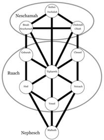 tf8d6fe the soul on the tree of life t.p