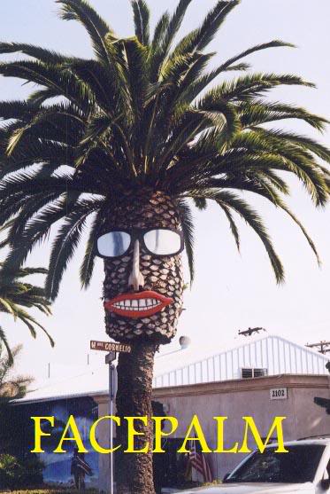 palm-tree-face
